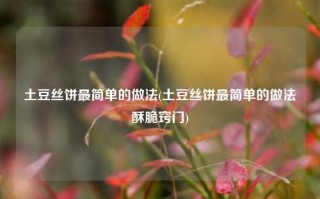 土豆丝饼最简单的做法(土豆丝饼最简单的做法酥脆窍门)