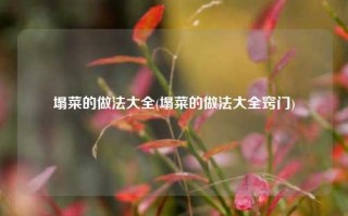 塌菜的做法大全(塌菜的做法大全窍门)