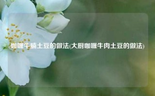 咖喱牛腩土豆的做法(大厨咖喱牛肉土豆的做法)