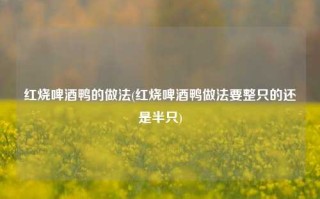 红烧啤酒鸭的做法(红烧啤酒鸭做法要整只的还是半只)