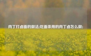 肉丁打卤面的做法(吃面条用的肉丁卤怎么做)