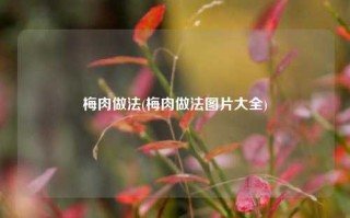 梅肉做法(梅肉做法图片大全)
