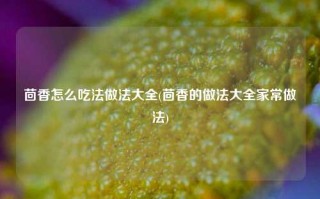 茴香怎么吃法做法大全(茴香的做法大全家常做法)
