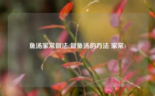 鱼汤家常做法(做鱼汤的方法 家常)
