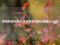 草莓奶昔的做法(草莓奶昔的做法英语怎么说)