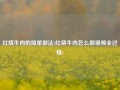 红烧牛肉的简单做法(红烧牛肉怎么做视频全过程)