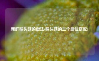 新鲜猴头菇的做法(猴头菇的三个最佳搭配)
