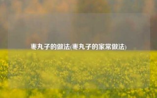 枣丸子的做法(枣丸子的家常做法)