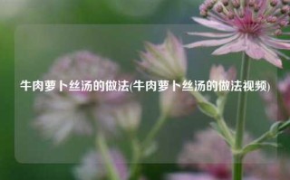 牛肉萝卜丝汤的做法(牛肉萝卜丝汤的做法视频)