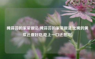 腌蒜苔的家常做法(腌蒜苔的家常做法,比腌的黄瓜还要好吃,吃上一口还想吃)