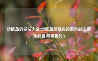 炒鱿鱼的做法大全(炒鱿鱼最经典的家常做法,鱿鱼鲜香,辣椒脆甜!)