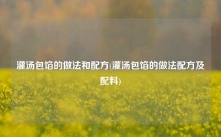 灌汤包馅的做法和配方(灌汤包馅的做法配方及配料)