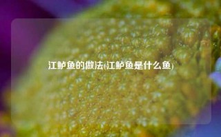 江鲈鱼的做法(江鲈鱼是什么鱼)