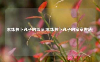 素炸萝卜丸子的做法(素炸萝卜丸子的家常做法)