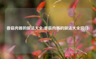 香菇肉酱的做法大全(香菇肉酱的做法大全窍门)