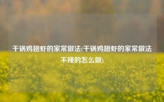 干锅鸡翅虾的家常做法(干锅鸡翅虾的家常做法不辣的怎么做)