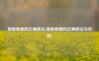 猪脚姜醋的正确做法(猪脚姜醋的正确做法与功效)