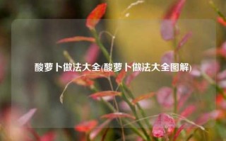 酸萝卜做法大全(酸萝卜做法大全图解)