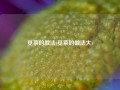 觅菜的做法(觅菜的做法大)