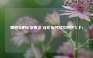 鲜鲍鱼的家常做法(鲜鲍鱼的家常做法大全)