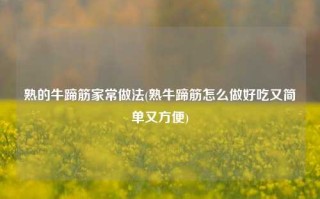 熟的牛蹄筋家常做法(熟牛蹄筋怎么做好吃又简单又方便)