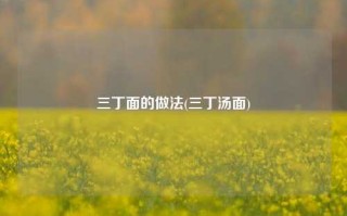 三丁面的做法(三丁汤面)