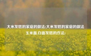 大米发糕的家庭的做法(大米发糕的家庭的做法玉米面,白面发糕的作法)