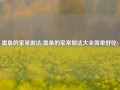 墨鱼的家常做法(墨鱼的家常做法大全简单好吃)
