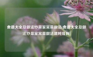 食谱大全及做法炒菜家常菜做法(食谱大全及做法炒菜家常菜做法清炖排骨)