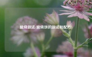 脆烧做法(脆烧饼的做法和配方)