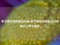 笋子烧牛肉的做法川味(笋子烧牛肉的做法川味用什么笋子最好)