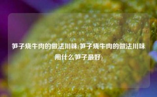 笋子烧牛肉的做法川味(笋子烧牛肉的做法川味用什么笋子最好)