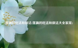 莲藕的吃法和做法(莲藕的吃法和做法大全家常)