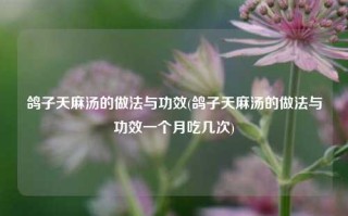 鸽子天麻汤的做法与功效(鸽子天麻汤的做法与功效一个月吃几次)