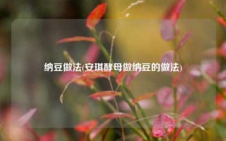 纳豆做法(安琪酵母做纳豆的做法)