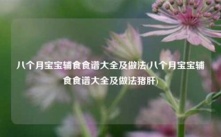 八个月宝宝辅食食谱大全及做法(八个月宝宝辅食食谱大全及做法猪肝)