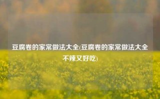 豆腐卷的家常做法大全(豆腐卷的家常做法大全不辣又好吃)