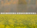 鱼炖豆腐的家常做法(笔管鱼炖豆腐的家常做法)