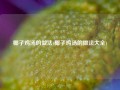 椰子鸡汤的做法(椰子鸡汤的做法大全)