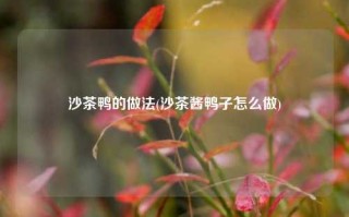 沙茶鸭的做法(沙茶酱鸭子怎么做)