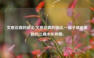 文思豆腐的做法(文思豆腐的做法,一筷子就能夹起的江南水乡风情)