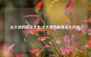 去火汤的做法大全(十大清热解毒去火的汤)