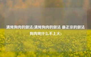 清炖狗肉的做法(清炖狗肉的做法 最正宗的做法狗肉炖什么不上火)