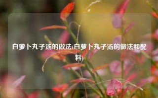 白萝卜丸子汤的做法(白萝卜丸子汤的做法和配料)