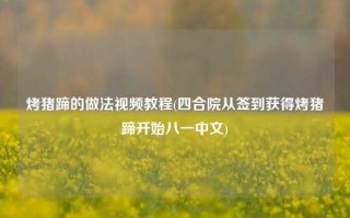 烤猪蹄的做法视频教程(四合院从签到获得烤猪蹄开始八一中文)