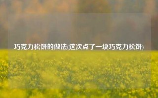 巧克力松饼的做法(这次点了一块巧克力松饼)