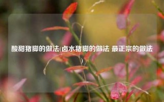酸甜猪脚的做法(卤水猪脚的做法 最正宗的做法)
