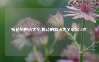 槐花的做法大全(槐花的做法大全家常40种)