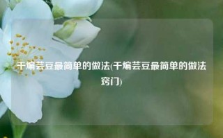干煸芸豆最简单的做法(干煸芸豆最简单的做法窍门)