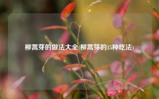 柳蒿芽的做法大全(柳蒿芽的15种吃法)